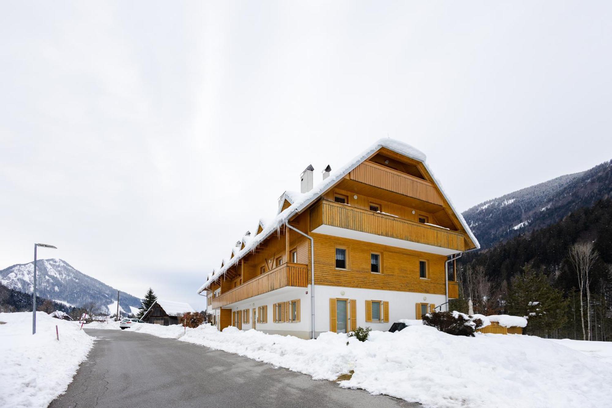 Waterfall Apartment - Cozy Mountain Retreat كْرانْيِسكا غورا المظهر الخارجي الصورة